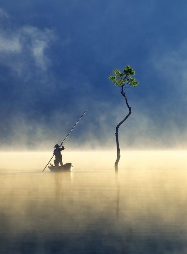 Sương giăng trên hồ Tuyền Lâm vào top ảnh đẹp trên báo Mỹ