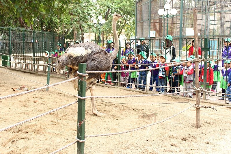 địa điểm du lịch, 62 địa điểm du lịch quanh hà nội 1 ngày cho gia đình, trẻ em, 2 người