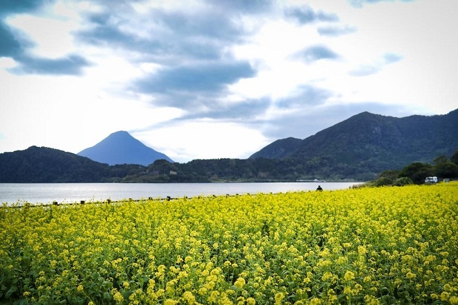 du lịch kagoshima, du lịch tokyo, kagoshima, vùng đất kỳ lạ với núi lửa nghìn năm