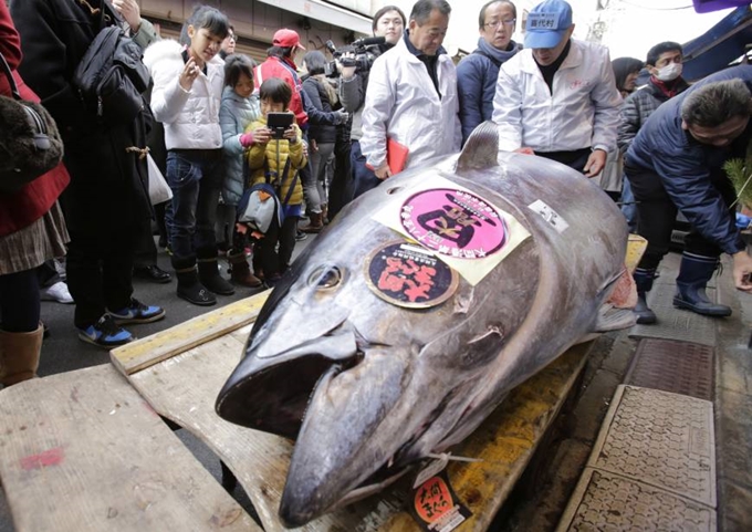 Vì sao cá ngừ ở Nhật có giá triệu đô là bình thường