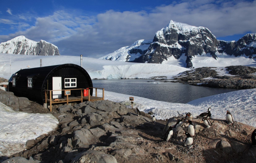 chim cánh cụt, nam cực, gợi ý hành trình chinh phục bán đảo nam cực, vùng băng giá nhất trái đất