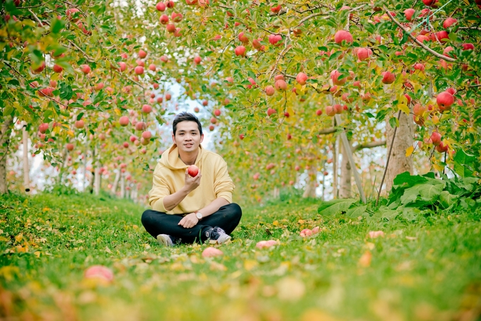 Chàng trai Việt say lòng trước vườn táo đẹp như cổ tích ở Nhật Bản
