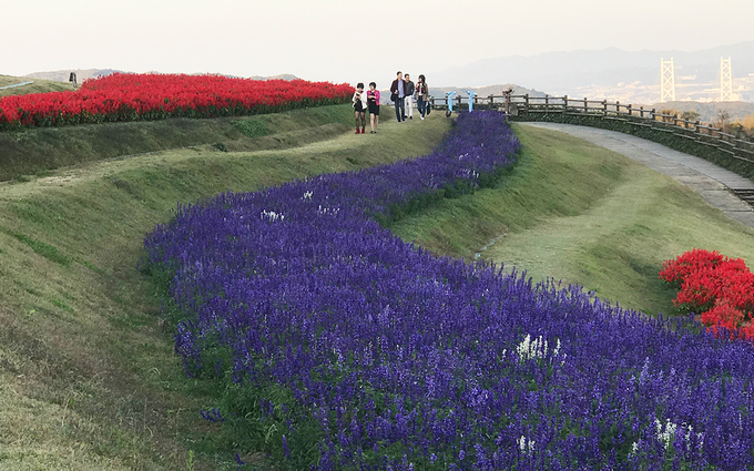 du lịch tokyo, đảo awaji, công viên hoa rực rỡ quanh năm trên đảo nhỏ nhật bản