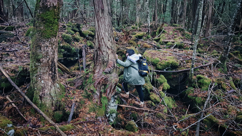 Cô gái Việt một mình khám phá khu rừng tự sát ở Nhật Bản