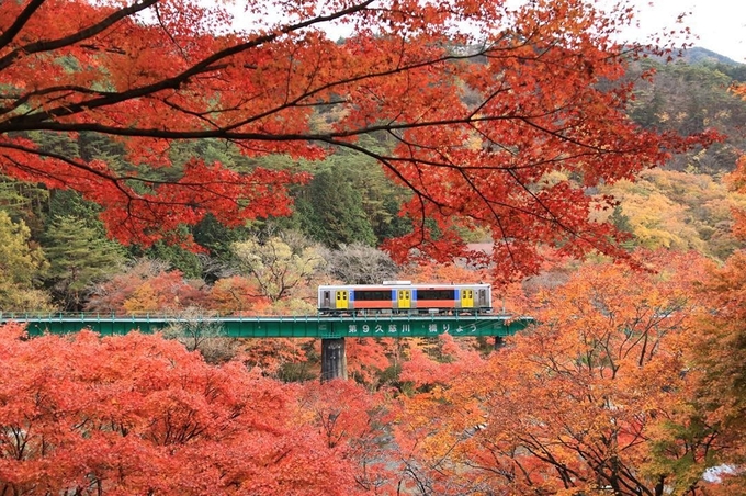 du lịch tokyo, ngắm lá đỏ rực rỡ ở nơi không phải chen chúc ngay gần tokyo