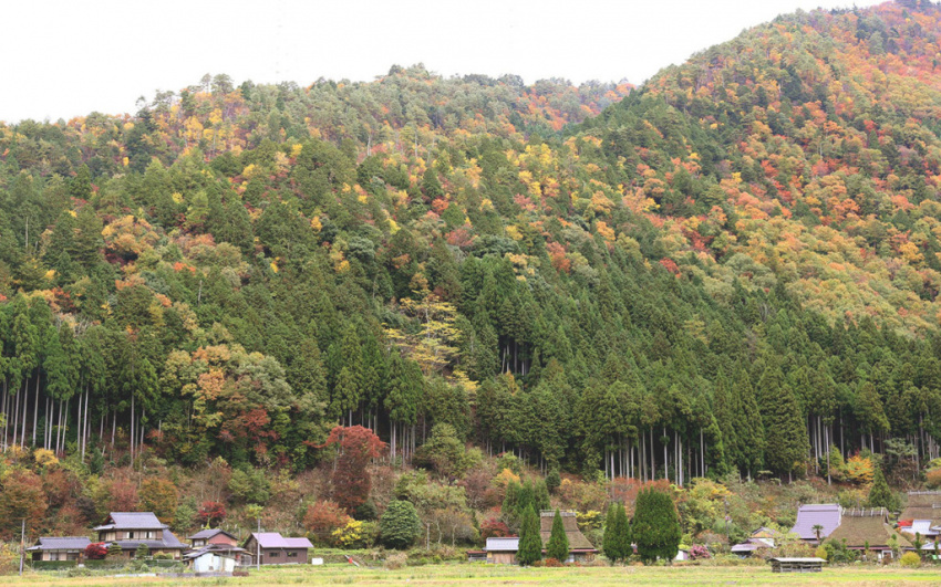 du lịch kyoto, làng miyama kayabuki, ngôi làng đẹp như cổ tích nhưng chưa nhiều người biết ở nhật