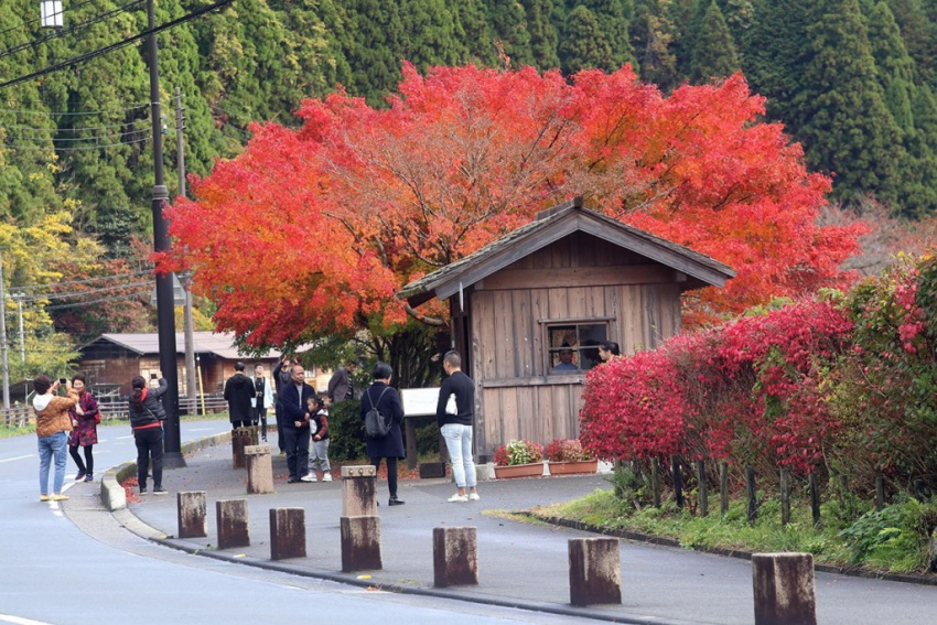 du lịch kyoto, làng miyama kayabuki, ngôi làng đẹp như cổ tích nhưng chưa nhiều người biết ở nhật