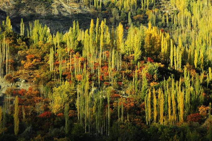 du lịch pakistan, mùa thu pakistan, pakistan, bộ ảnh pakistan mùa thu ‘chạm tới trái tim’ của du khách việt