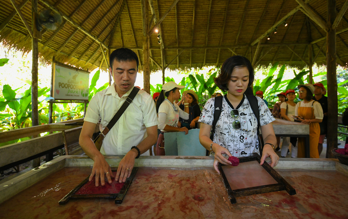 du lịch bangkok, du lịch chiang mai, khách sạn bangkok, tham quan chiang mai, nơi du khách tự tay làm giấy từ phân voi ở thái lan