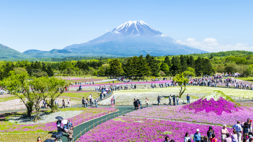 Những điều cần biết để tránh mất tiền oan khi du lịch Nhật Bản