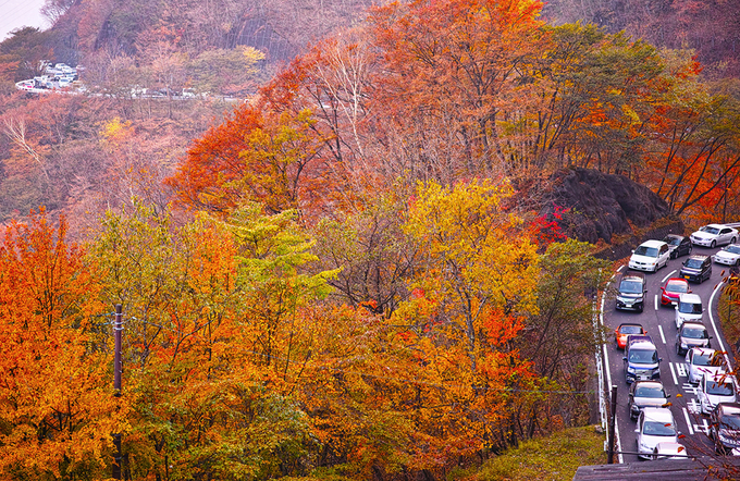 đèo irohazaka, mùa lá đỏ trên con đèo 48 khúc cua ở nhật