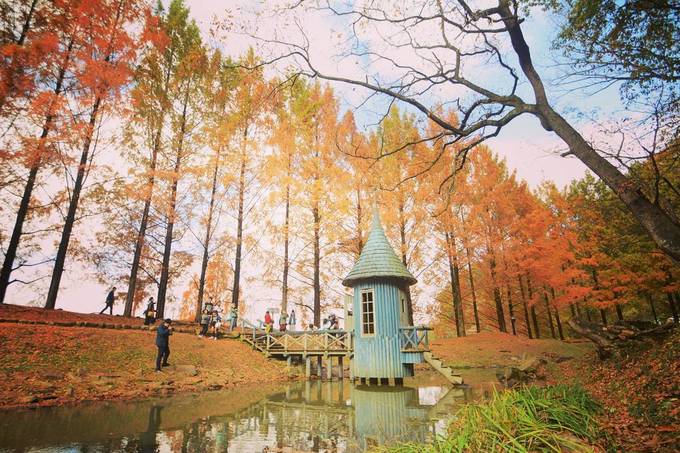 ‘Sống ảo’ trong vườn cổ tích đẹp như mơ ở Nhật Bản