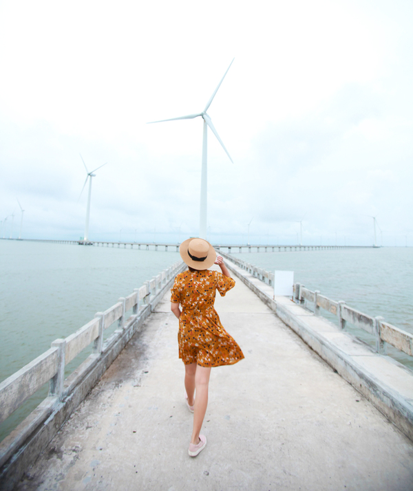 Cánh đồng điện gió lớn nhất Việt Nam đẹp như châu Âu