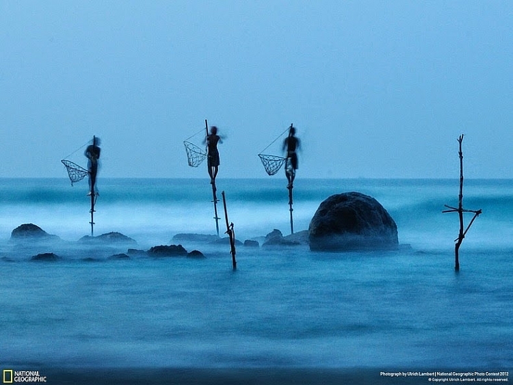 Nghệ thuật câu cá trên cọc kheo của các ngư dân Sri Lanka