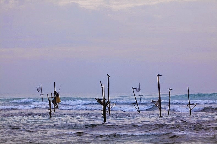 du lịch sri lanka, sri lanka, tham quan sri lanka, nghệ thuật câu cá trên cọc kheo của các ngư dân sri lanka