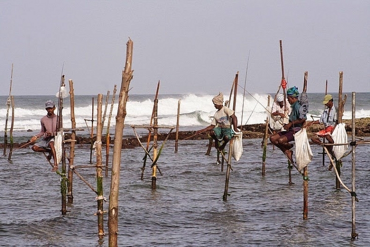 du lịch sri lanka, sri lanka, tham quan sri lanka, nghệ thuật câu cá trên cọc kheo của các ngư dân sri lanka