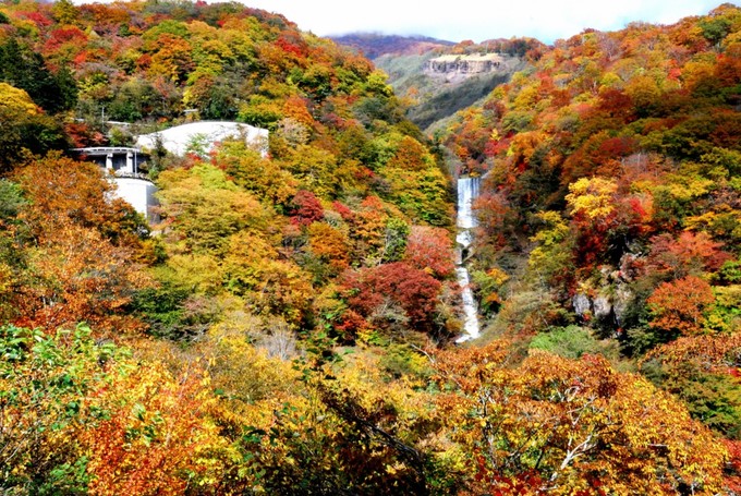 đền tofukuji, 10 điểm ngắm lá đỏ đẹp nhất nhật bản năm 2018