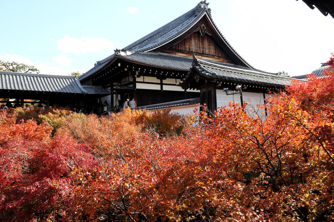 đền tofukuji, 10 điểm ngắm lá đỏ đẹp nhất nhật bản năm 2018