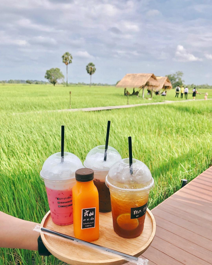 du lịch bangkok, khách sạn bangkok, ma na dé coffee, dân tình xôn xao tiệm cafe view cánh đồng xanh ngát đang gây sốt ở thái lan