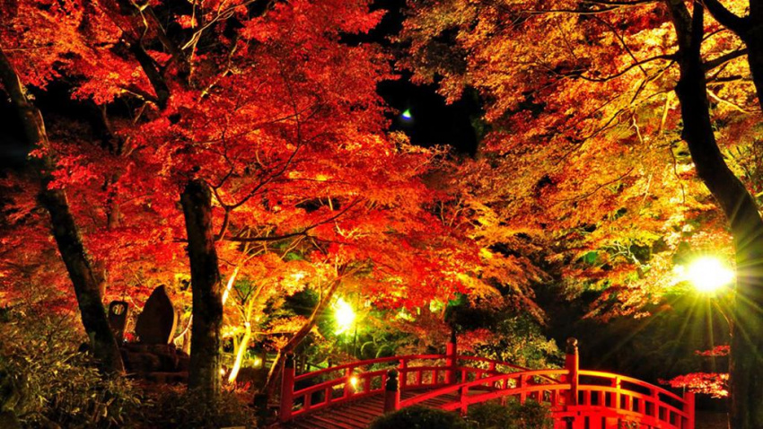 Du lịch Nhật Bản trải nghiệm hái táo, ngắm lá đỏ ở Aomori