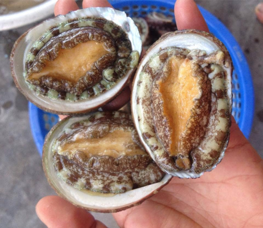 Ba món hải sản nhất định phải thử trên đảo Cô Tô