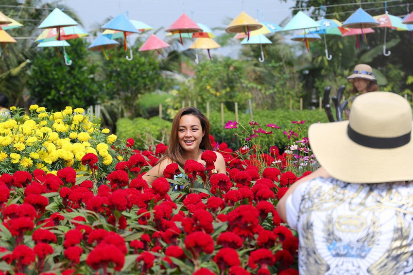 Du lịch Đồng Tháp check in làng hoa Sa Đéc, vườn quýt hồng
