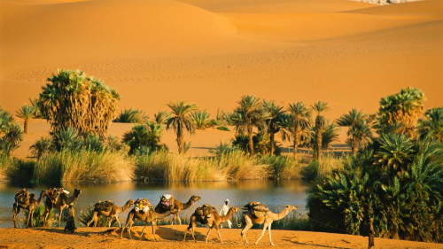 Những điều kỳ lạ từng xảy ra trên sa mạc Sahara