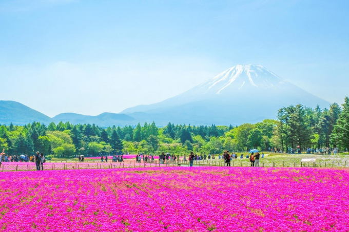 du lịch tokyo, núi phú sĩ, 6 điểm chụp ảnh núi phú sĩ giống hệt postcard