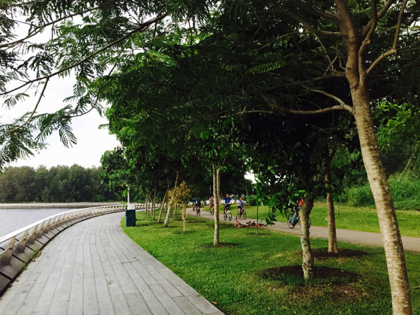 du lịch singapore, hostel ở singapore, khách sạn singapore, kinh nghiệm đi singapore, đến singapore, đừng quên ghé thăm những công viên ven biển xanh màu lá