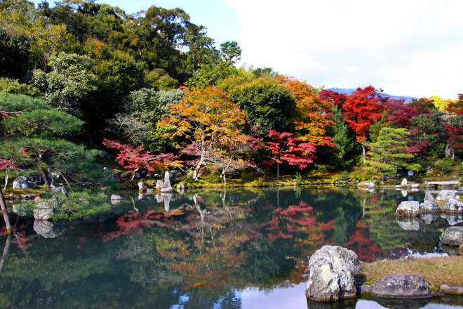 du lịch tokyo, có gì ở sagano – khu rừng tre nhật bản lọt top những nơi nhất định phải đến một lần trong đời?
