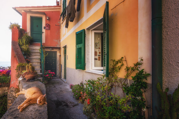 Những con hẻm ‘bí mật’ đẹp như cổ tích ở Italy