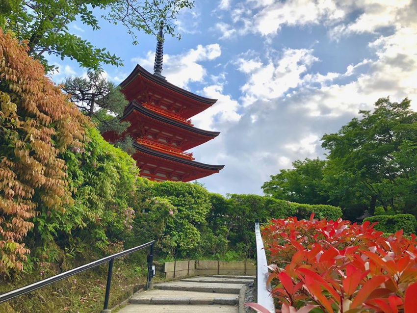 du lịch tokyo, kinh nghiệm du lịch nhật bản tự túc 7 ngày, siêu chi tiết – dễ áp dụng