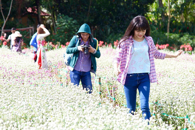 Vườn hoa hút khách chụp ảnh giữa nắng hè ở Tiền Giang