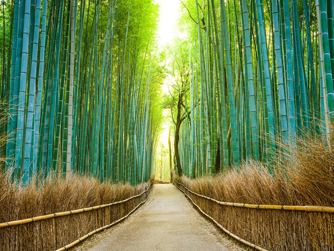 20 cảnh đẹp lý giải vì sao Nhật Bản luôn hút du khách