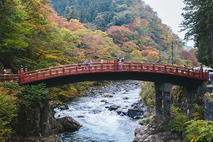 du lịch tokyo, hành trình nước nhật trong 14 ngày khiến ai xem cũng muốn lên đường