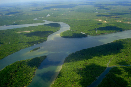 Vì sao sông Amazon dài hơn 6.000 km không có cầu bắc ngang?