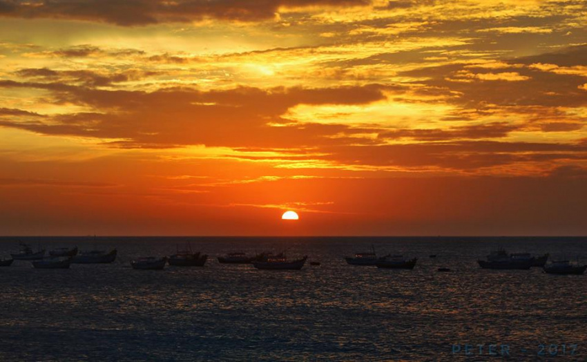 Trọn vẹn cẩm nang du lịch đảo Phú Quý: Điểm đến bạn không thể bỏ lỡ mùa hè này