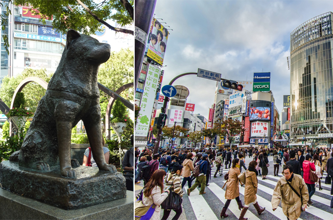 du lịch tokyo, gợi ý hai lịch trình tham quan tokyo bằng tàu điện ngầm