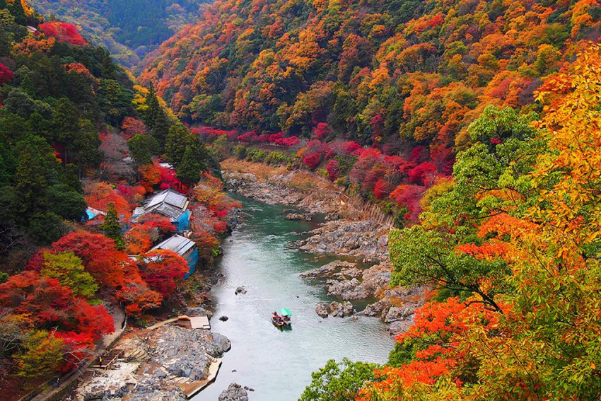 Hành trình du lịch Nhật Bản mùa lá đỏ quyến rũ
