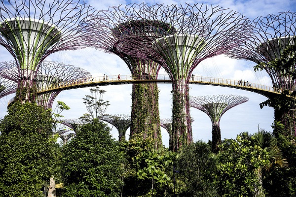 Những khu vườn trên cao nổi tiếng ở Singapore