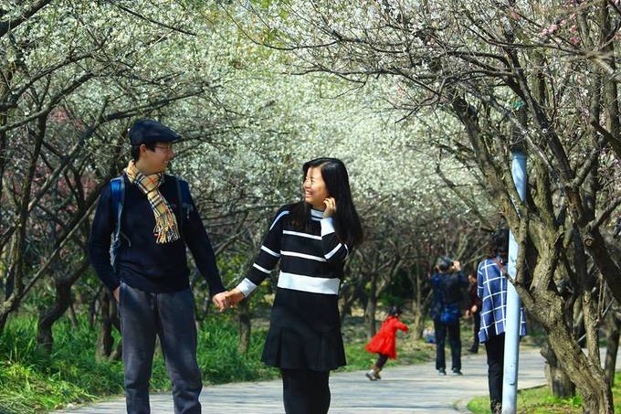 Lý do bạn nên đến Thượng Hải mùa xuân