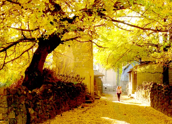 du lịch, điểm du lịch, làng cổ, thôn trang, cổ trấn, những ngôi làng cổ cảnh sắc đẹp mê hồn nhất định phải ghé thăm vào mùa thu ở trung quốc