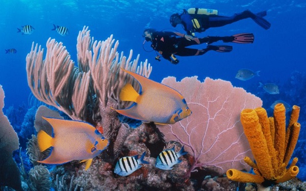 belize barrier reef, du lịch vienna, quần đảo solomon, những di sản thế giới có nguy cơ biến mất mãi mãi