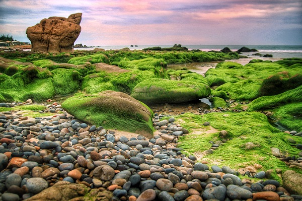 Biển Cổ Thạch được ví như chốn tiên cảnh vào mùa rêu mọc