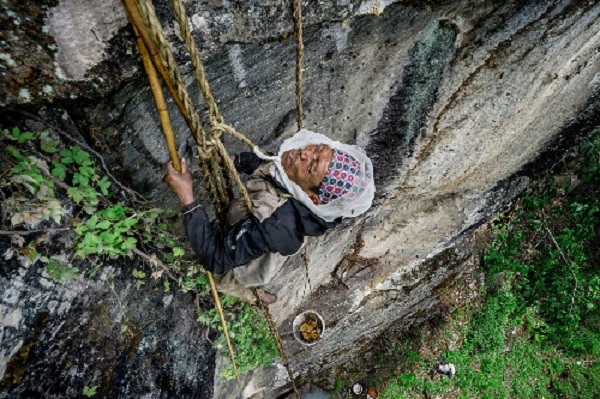 dãy himalaya, du lịch nepal, những người liều mạng săn mật ong trên vách núi ở nepal