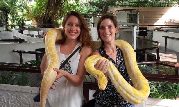 du lịch bangkok, khách sạn bangkok, trại rắn ở bangkok, trang trại nuôi hàng nghìn con rắn ở bangkok