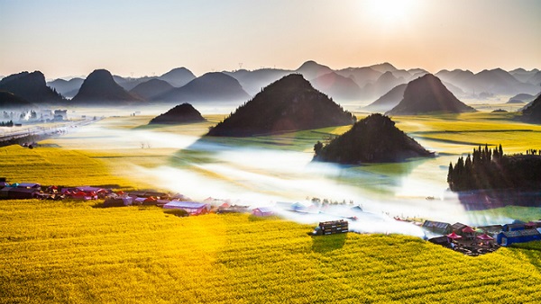‘Biển’ hoa cải vàng ngút tầm mắt ở Trung Quốc