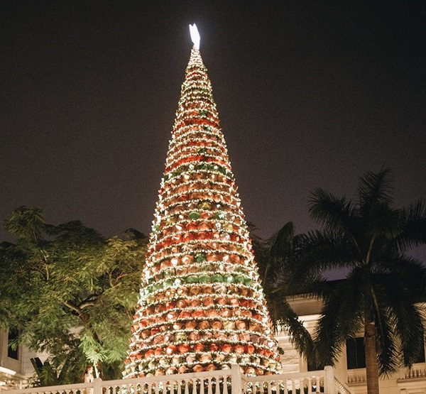 Những cây thông Noel độc và lạ ở Việt Nam