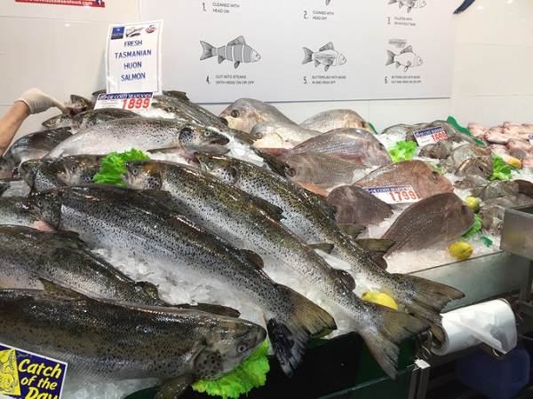 chợ cá sydney, du lịch australia, du lịch sydney, sydney fish market, điểm đến sydney, chợ cá lớn nhất sydney ngày càng hút khách việt