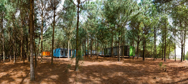 Khu rừng thông bên hồ – điểm chơi cuối tuần gần Hà Nội